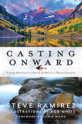 Casting Onwards book cover