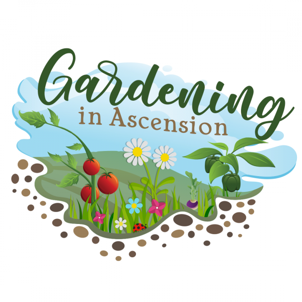 Image for event: Gardening Q &amp; A and Plant Swap